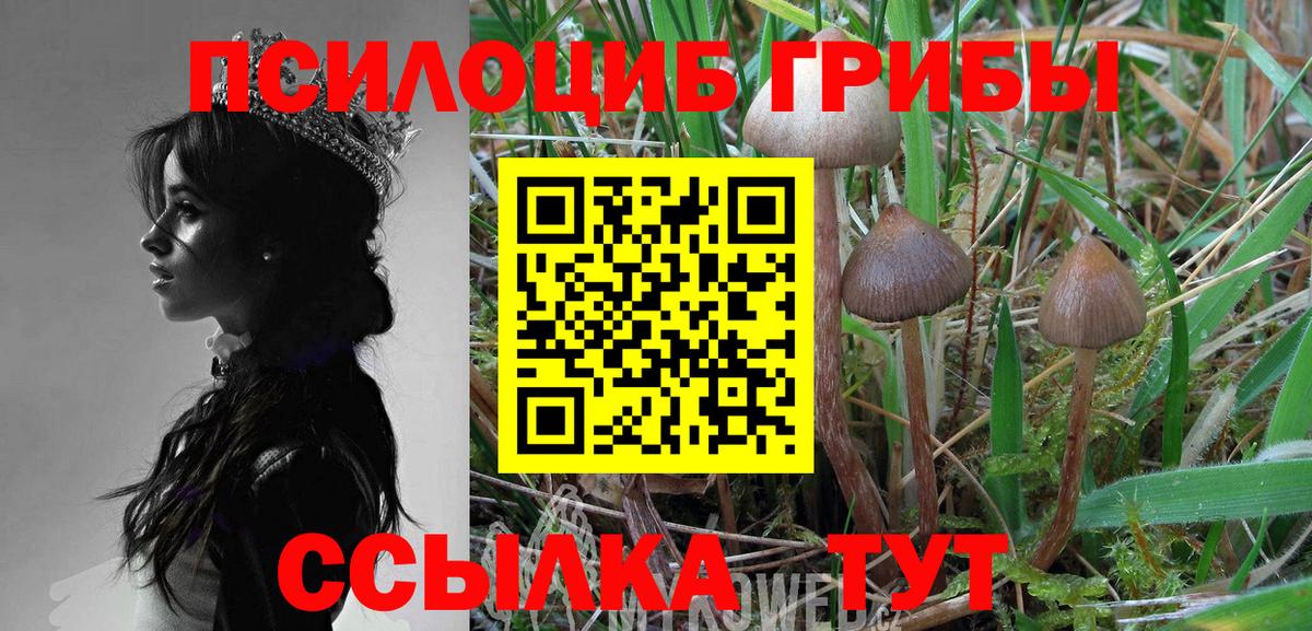 Псилоцибиновые грибы Cubensis Ступино