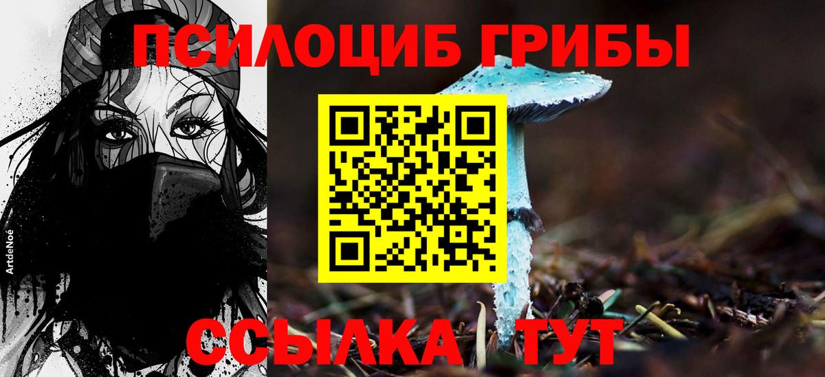 Галлюциногенные грибы Psilocybine cubensis  Галлюциногенные грибы Cubensis  Вход с VPN  Ступино 